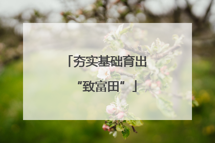 夯实基础育出“致富田”